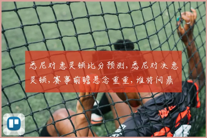 悉尼对惠灵顿比分预测,悉尼对决惠灵顿,赛事前瞻悬念重重,谁将问鼎胜利